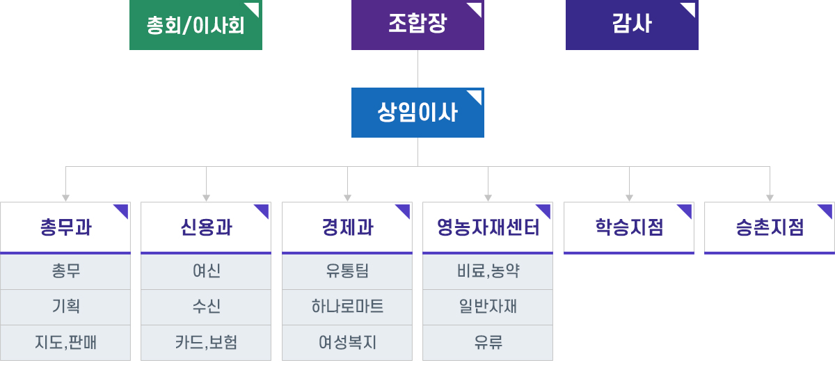조직도